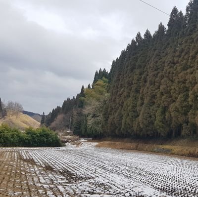 freedom2c's profile picture. 여행