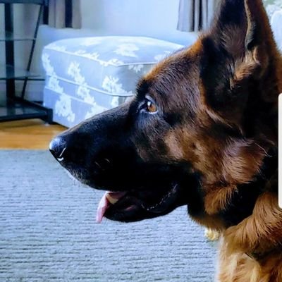 Knox03814's profile picture. Calm down. Don't entertain anxiety. God is working this out. He won't miss a thing. Everything is alright, God assures you.