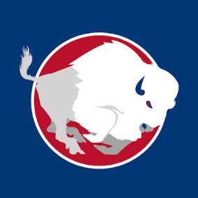 Buffalo Adult Baseball League Profile