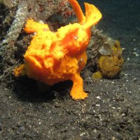 Rafael Catala (@rafacatalar) 's Twitter Profile