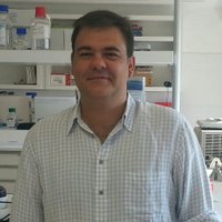 Jose P. Vaqué (@labvaque) 's Twitter Profile Photo Jose P. Vaqué (@labvaque) 's Twitter Profile Photo