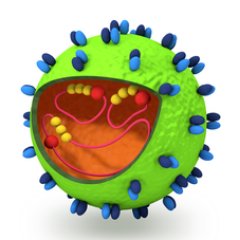 NeytsVirology's profile picture. Our Mission : The development of (i) antiviral strategies against a range of (RNA) viruses and (ii) a game-changing novel vaccine technology platform