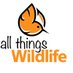 Allthingswildlife (@Allthingswild01) Twitter profile photo