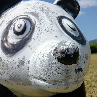 itsumono_panda Profile Picture