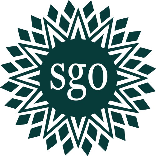 The Student Government Organization.
The voice of LSMSA's student body.