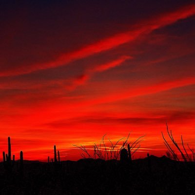 eveningrednessw's profile picture. 