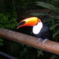 David Hodgson (@davmhod) 's Twitter Profile
