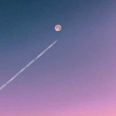 _spring_s3's profile picture. 