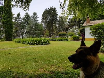 EmilioV58086555's profile picture. 