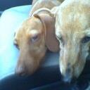 Tom Leclair - @TomLeClair1962 - Twitter