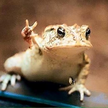 AlexandreMonat's profile picture. Concerned by the water, the seas and oceans. Re-tweeting for building resilience. Tracking the possible "What Next" without any opinion and comment.