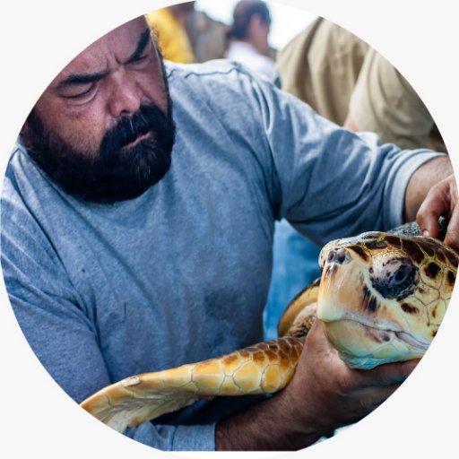 IUCN-SSC Sea Turtle Specialist Group Member / Conservación de especies amenazadas / Biodiversidad.