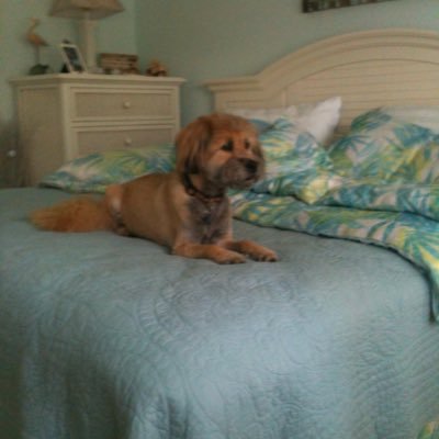 s2geezerCPA's profile picture. 