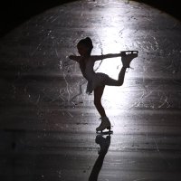 MegSkates(@SkatesMeg) 's Twitter Profile Photo