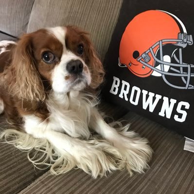 Love The Land! The #Browns have my 🧡