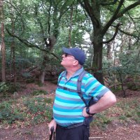 PeterCinWimborne (@cin_peter) 's Twitter Profile