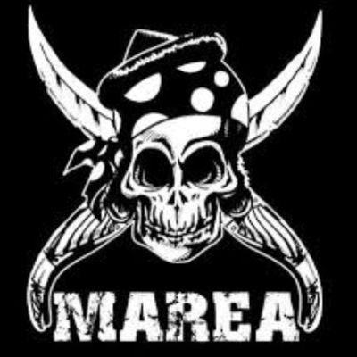 pacocabe's profile picture. 