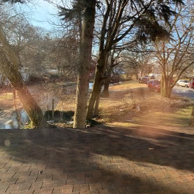 RawleSinghIT's profile picture. 