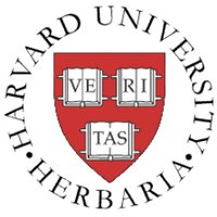 Harvard University Herbaria (@harvardherbaria) 's Twitter Profile