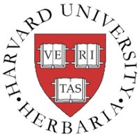 Harvard University Herbaria(@HarvardHerbaria) 's Twitter Profile Photo