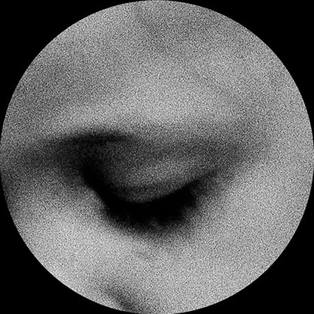 JolantaDolewska's profile picture. artist @GSSGLASGOW