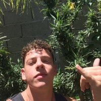 VanderThing (@gabrielbonamigo) 's Twitter Profile