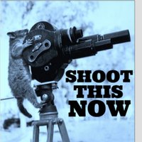Shoot This Now (@shootthisnowpod) 's Twitter Profile