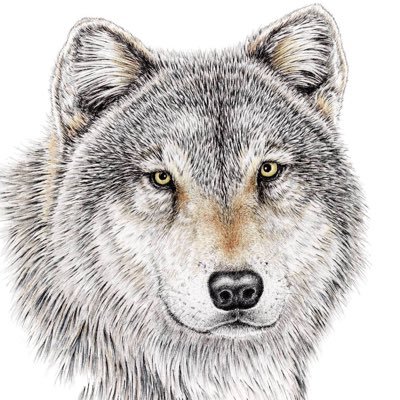 Greenbrier High Profile