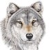 Greenbrier High (@ghswolfpack) Twitter profile photo Greenbrier High (@ghswolfpack) Twitter profile photo