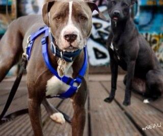 lopezaraceli's profile picture. 