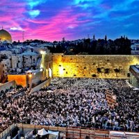 Baal Teshuva (@baalteshuva613) 's Twitter Profile