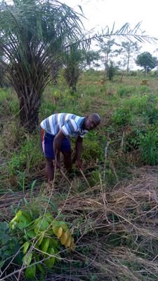 FodeMou29507568's profile picture. électricité