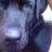 Dkunruh's profile image