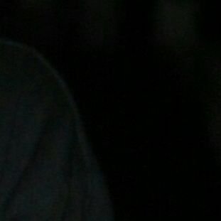 tidakmengikuti's profile picture. 