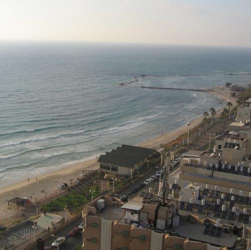 smwinston's profile picture. structural engineer/city builder in New York City #LetsGoOilers