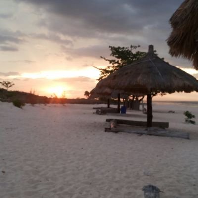 YenZheng99's profile picture. Sosial Gerakan Sosial Perjalanan