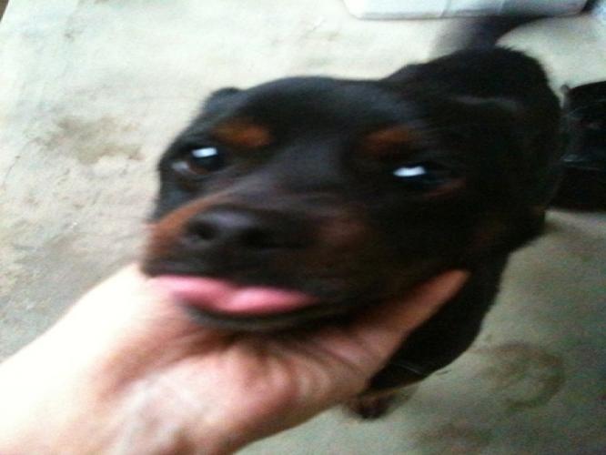 jobo8184's profile picture. 귀농 4년차
복지사 1년차