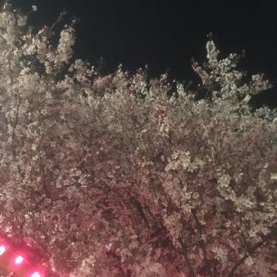kaede23630's profile picture. 