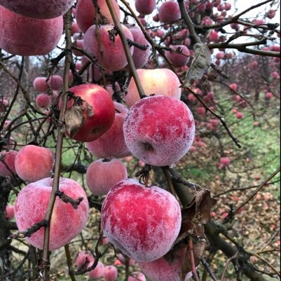 slasze1's profile picture. 