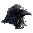 Grant Boucher - @GrantBoucher - Twitter