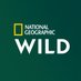 National Geographic Wild FR (@natgeowildfr) Twitter profile photo National Geographic Wild FR (@natgeowildfr) Twitter profile photo