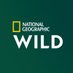 National Geographic Wild FR (@NatGeoWildFr) Twitter profile photo