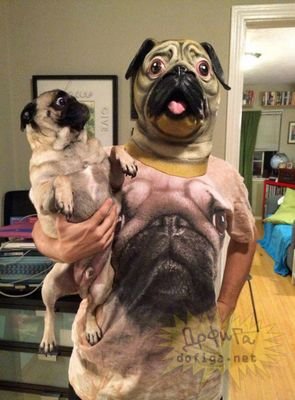 imitation_0f_li's profile picture. I'm