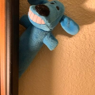 Being followed by a small, blue, stuffed animal, that smiles a lot. Be kind to one another.