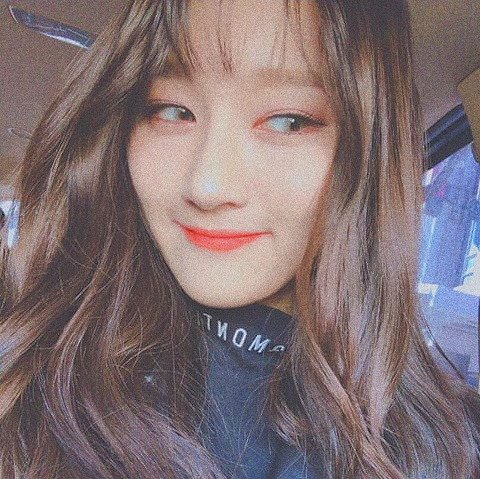 welcome to my dream world*ೃ✧
❛ #시연; powerful main vocalist, one ok rock fan, psyduck, extra queen and bunnyeon of #드림캐쳐.*·˚ ❜
you can call me monica.