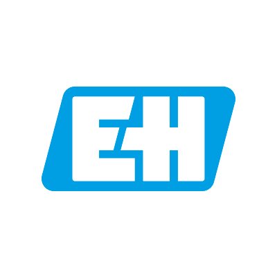 Endress+Hauser Group Profile