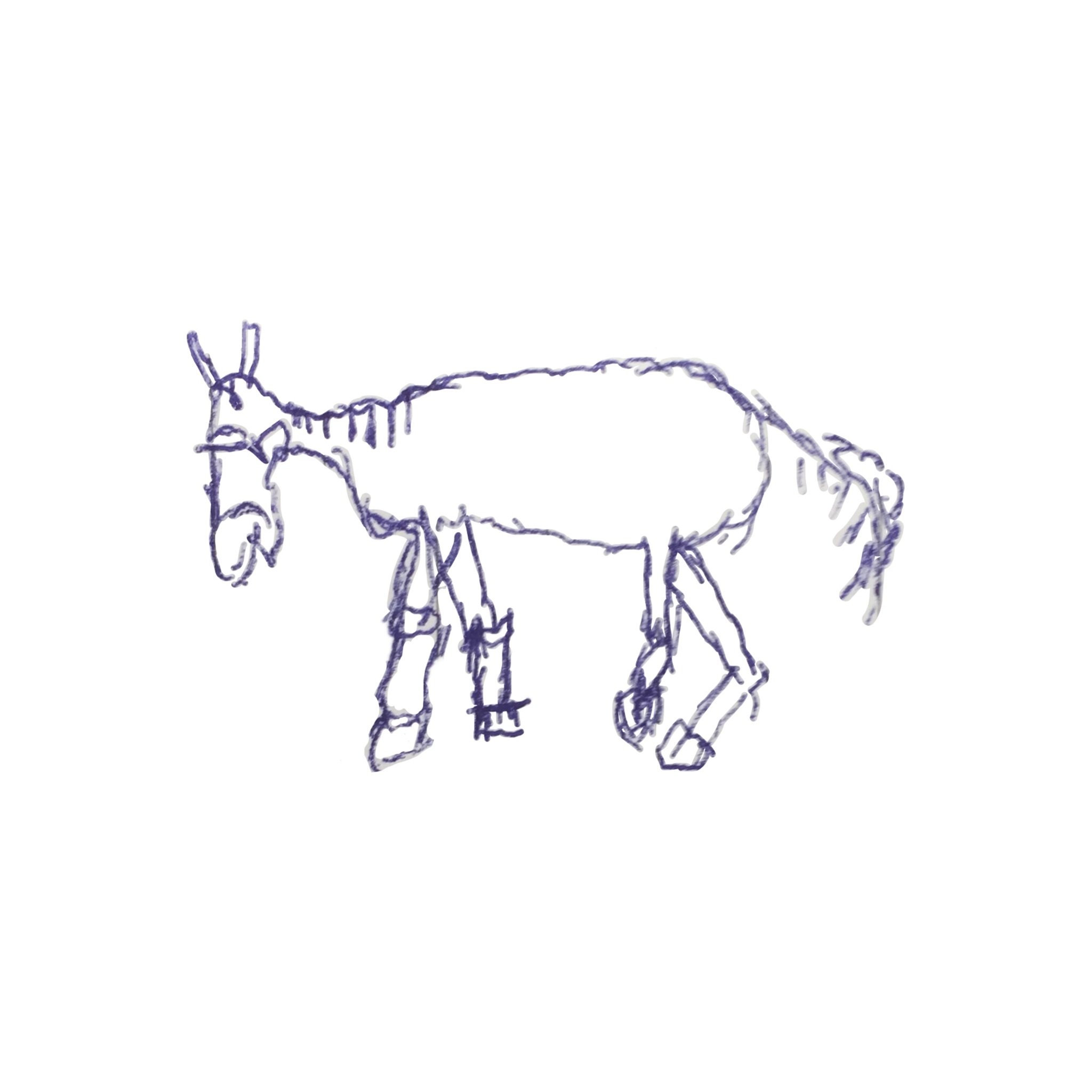 IPeluko's profile picture. 