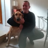 Lluis (@lluiselpoll) 's Twitter Profile