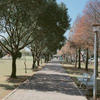 Infinity (@infinitylove427) 's Twitter Profile