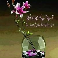 hifsajaved55's profile picture. Married housewife